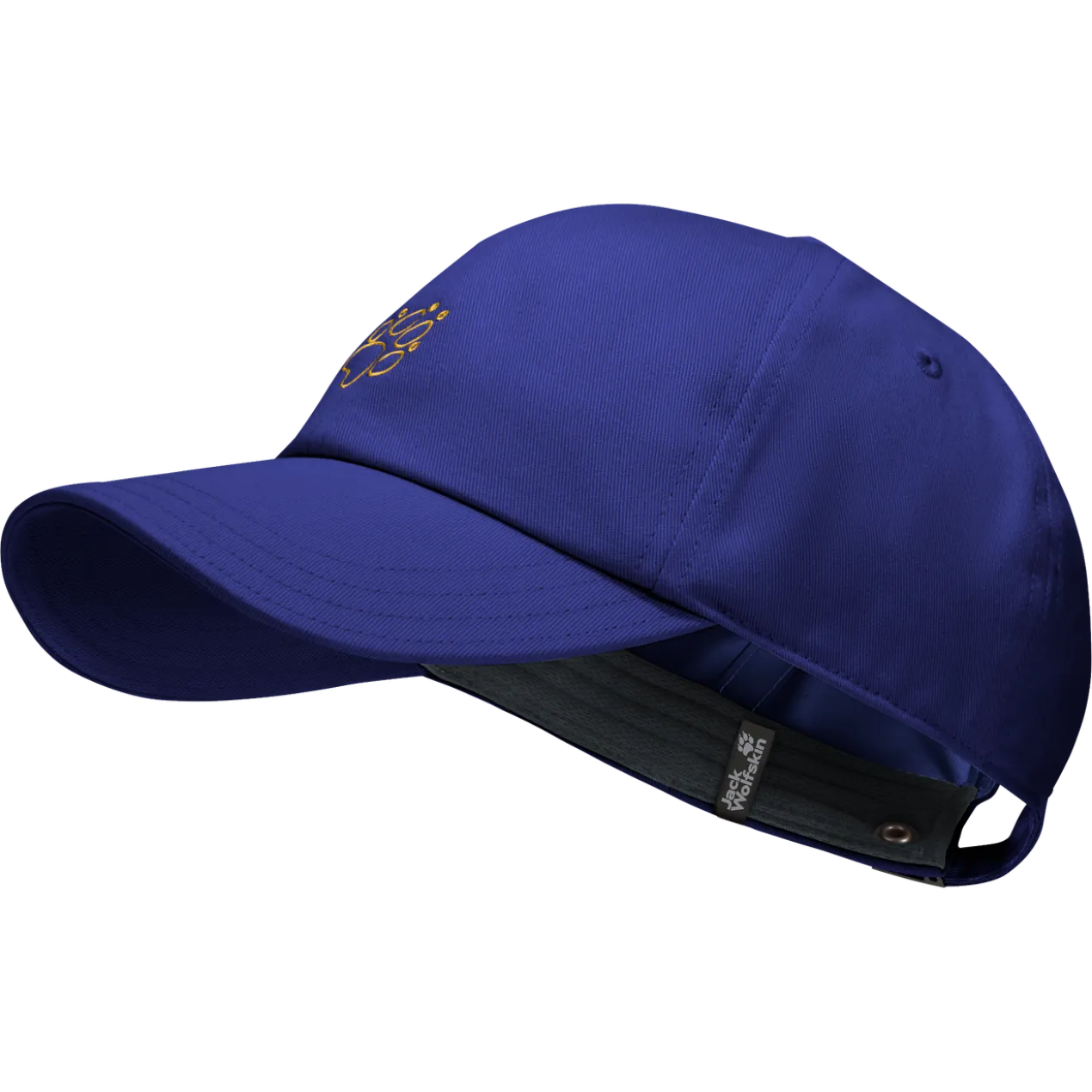 CELEBRATE THE PAW CAP