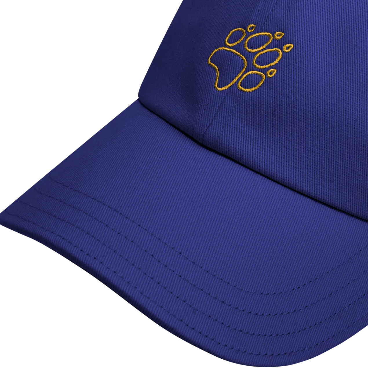 CELEBRATE THE PAW CAP