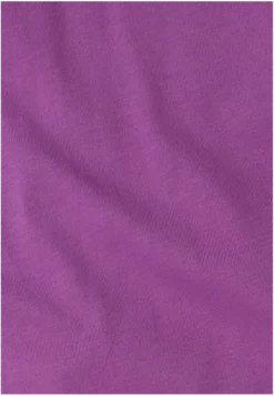 CELEBRATE THE PAW ORIGINAL T M