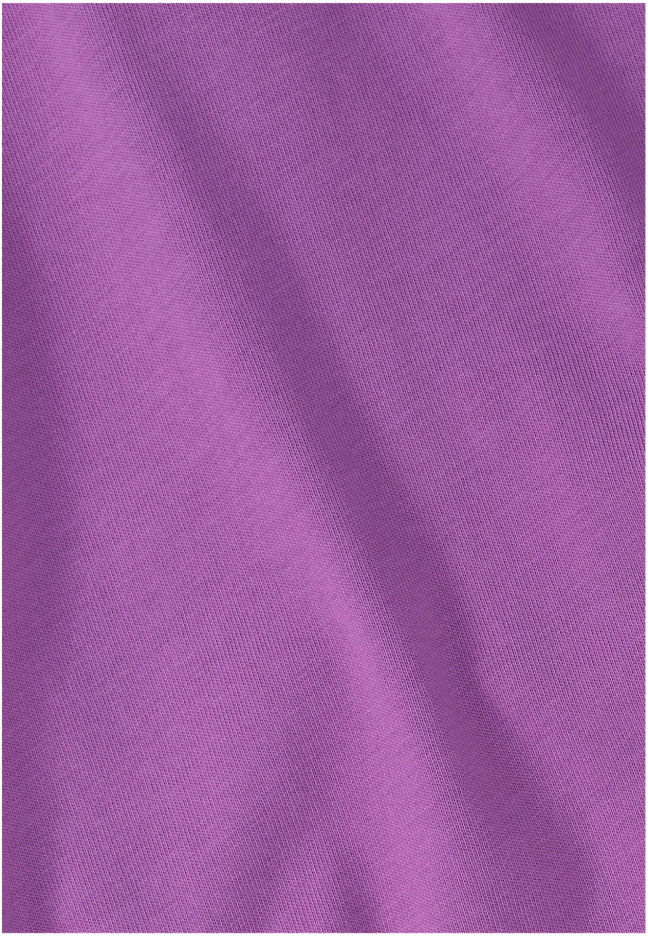 CELEBRATE THE PAW ORIGINAL T W