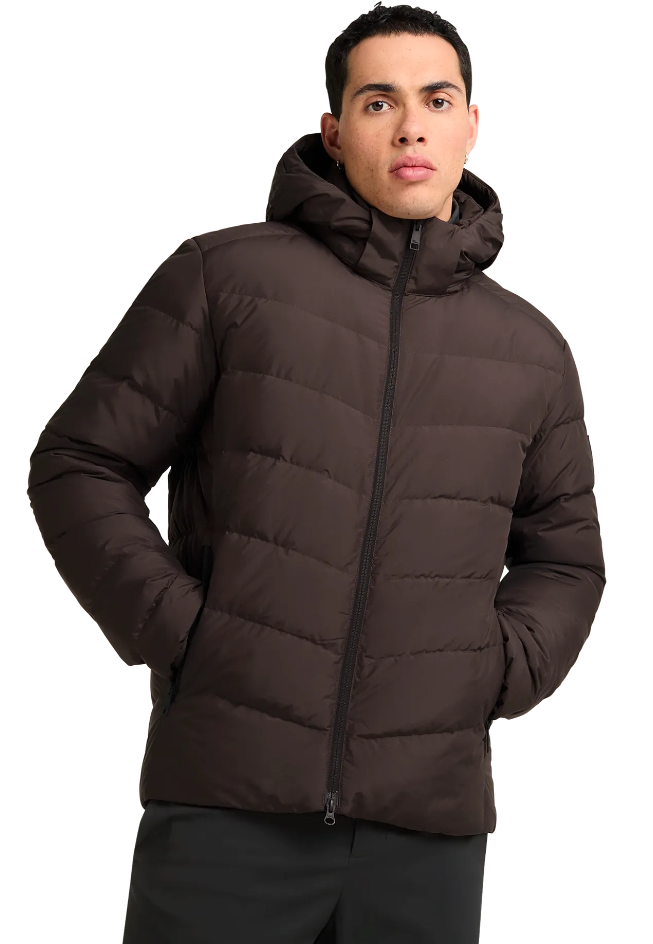 COLONIUS JKT M RDS