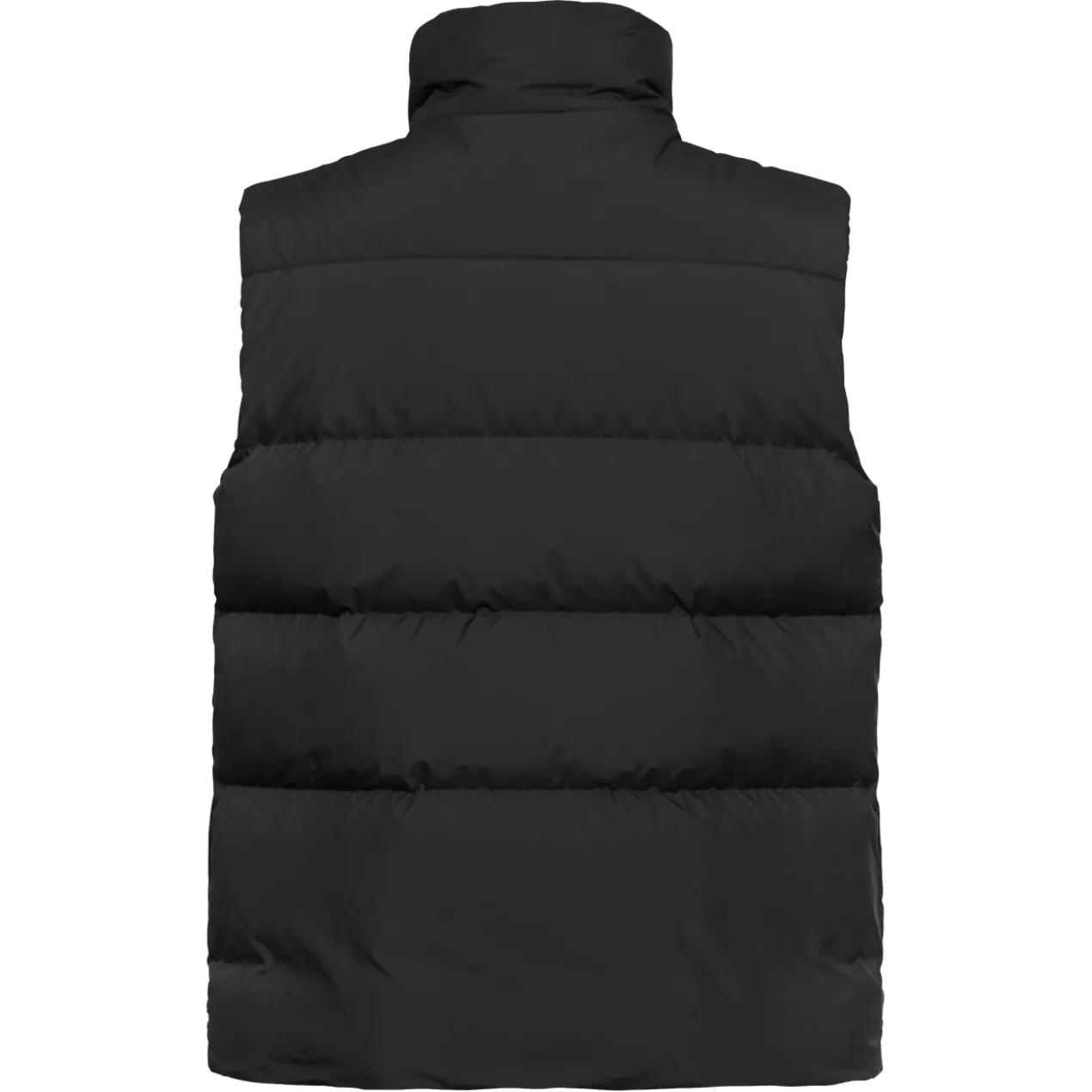 COLONIUS VEST M RDS