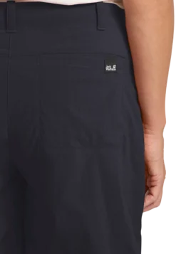 DESERT SHORTS W