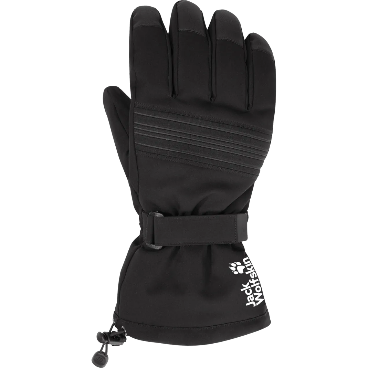 INS SKI GLOVE