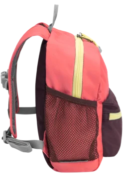 LITTLE SCOUT 10