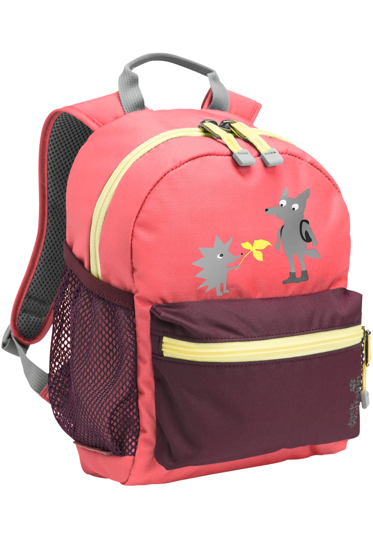 LITTLE SCOUT 10