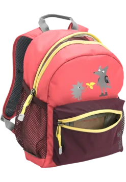 LITTLE SCOUT 10