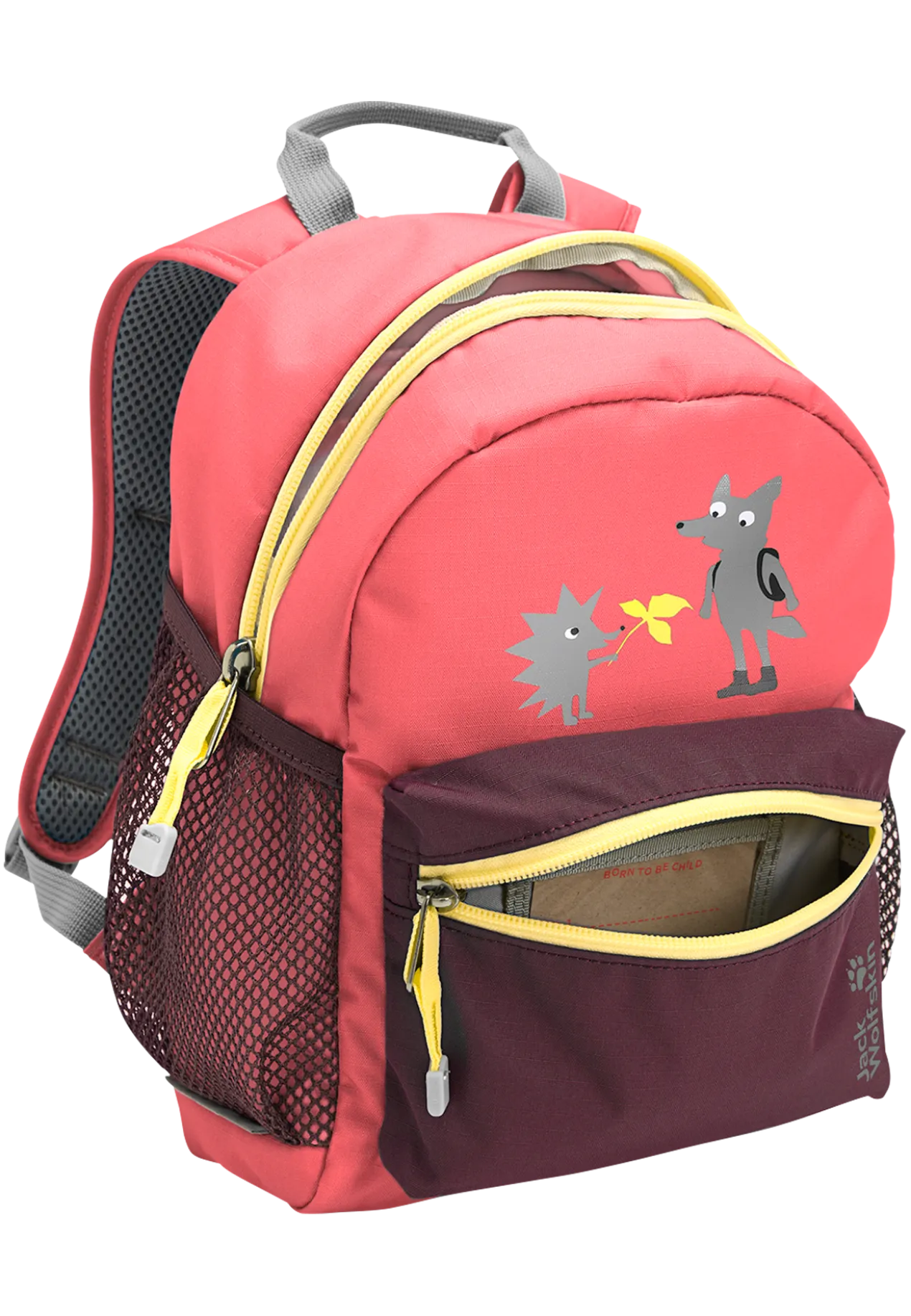 LITTLE SCOUT 10