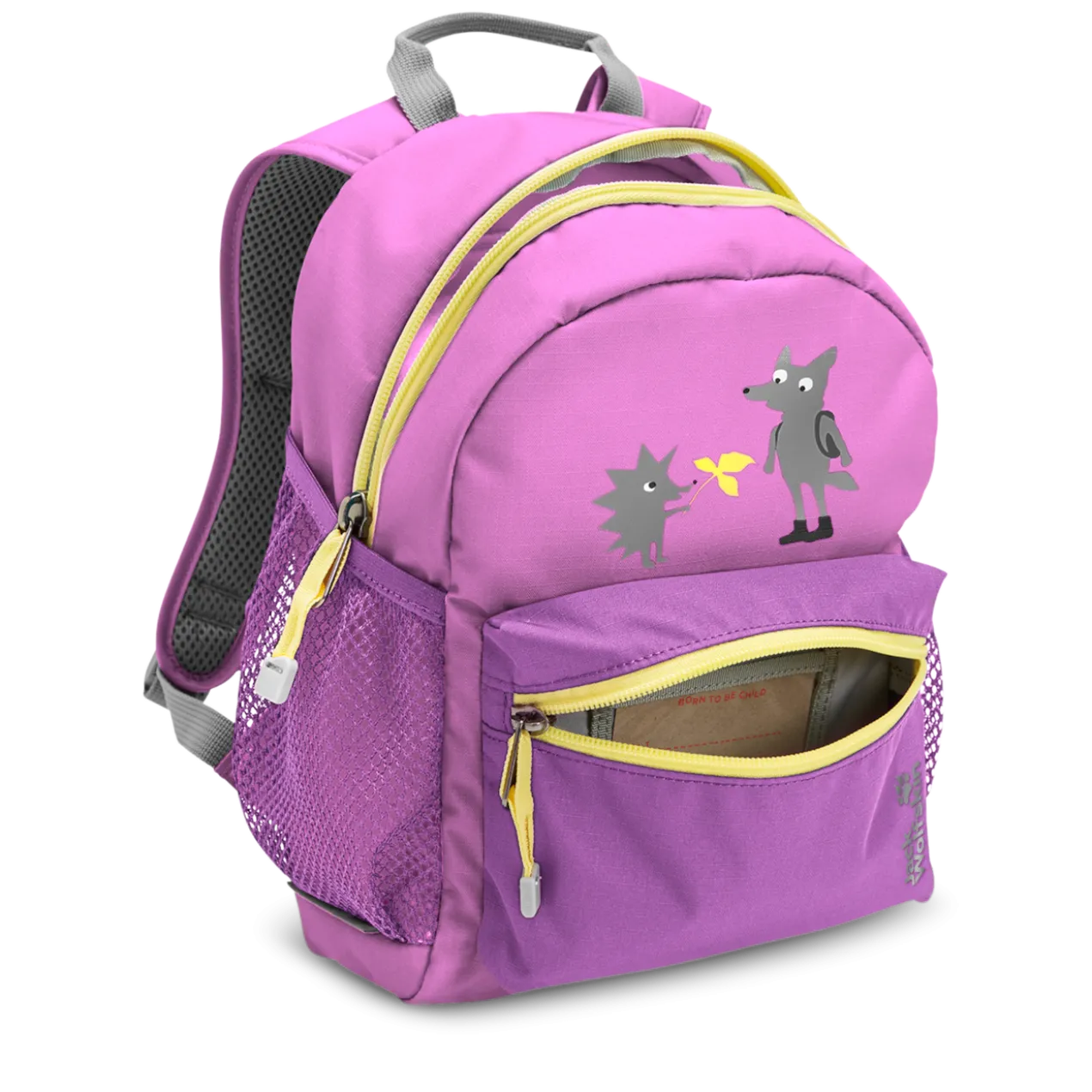 LITTLE SCOUT 10