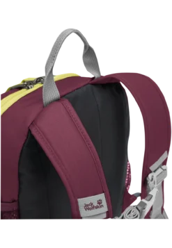 LITTLE SCOUT 10