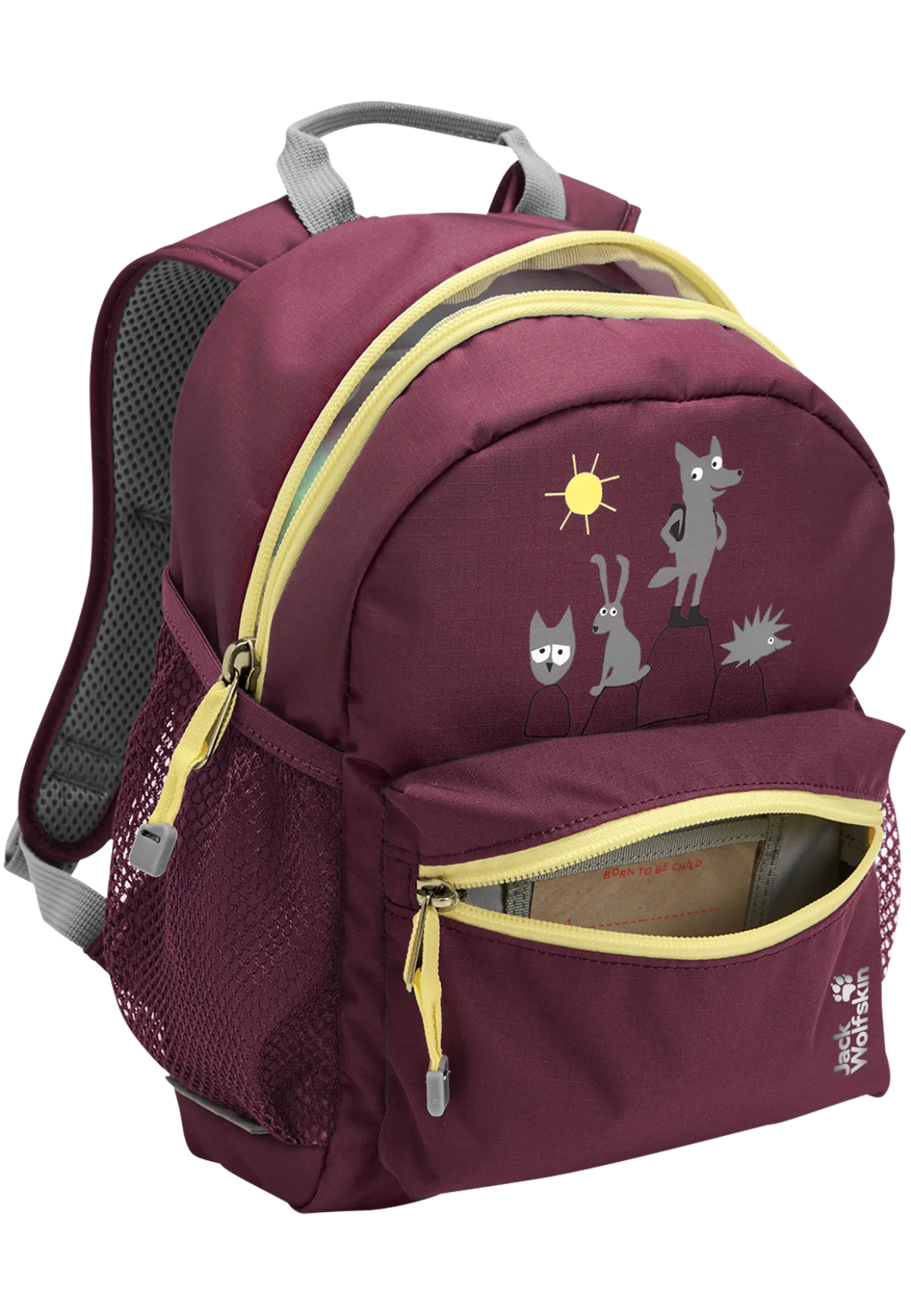 LITTLE SCOUT 10