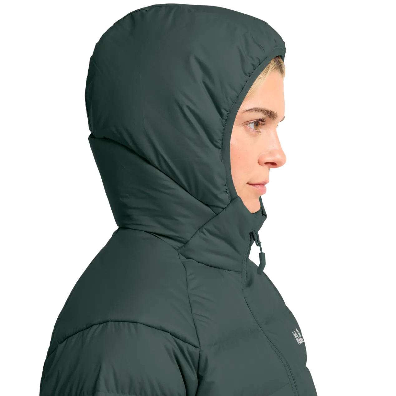 WILD PASS DOWN HOODY W RDS